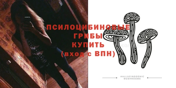 сатива Бронницы