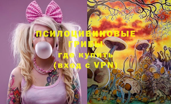 сатива Бронницы